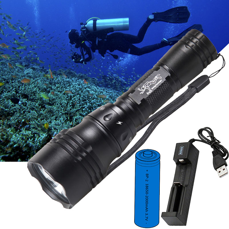 Diving Lamp Portable 10W T6 L2 - Fish Finder Charger 评论和价格