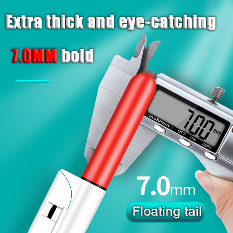 2pcs LED Night Light Electroni - Fish Finder Battery 评论和价格